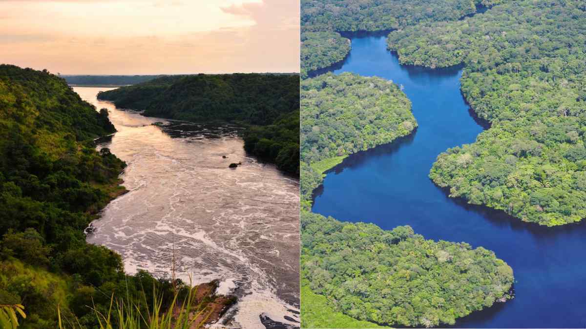 Nile vs Amazon 